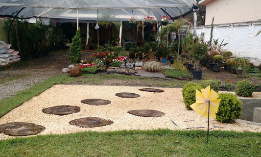 Maximizing Your Backyard Space with Modern Outdoor Structures