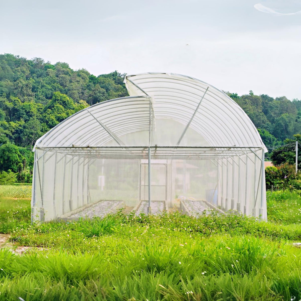 Polycarbonate Greenhouses
