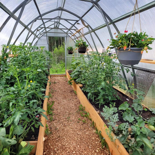 Backyard Greenhouse III