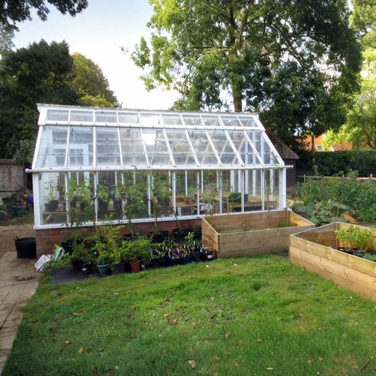Backyard Greenhouse IV