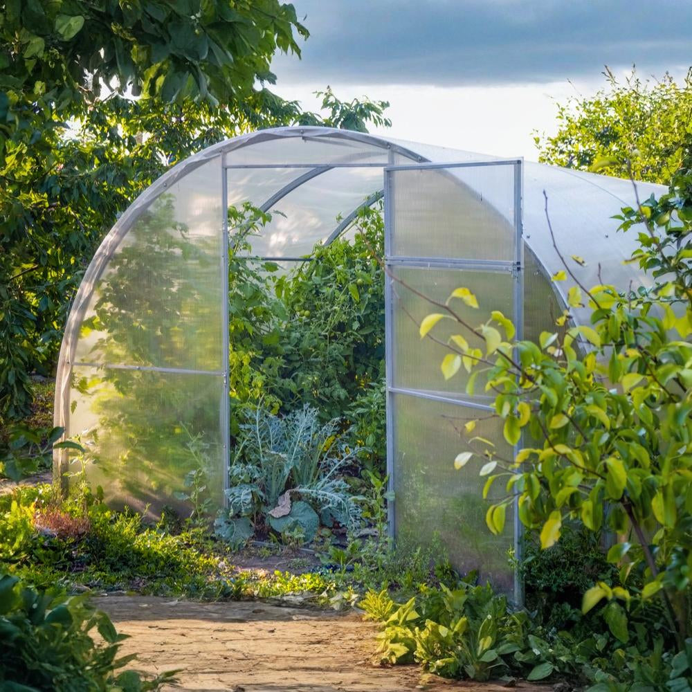 Backyard Greenhouse VIII