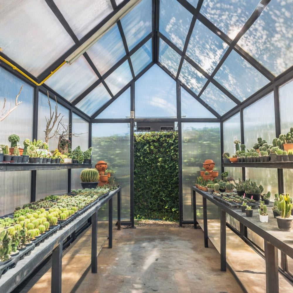 Backyard Greenhouse VII